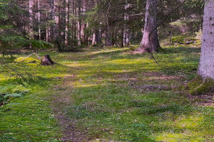 Bilde av Turområder på York